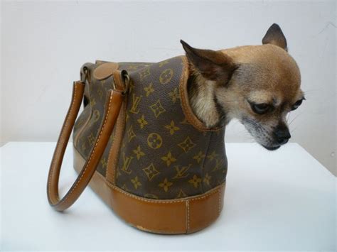 louis vuitton per cani|Dog Bag Monogram .